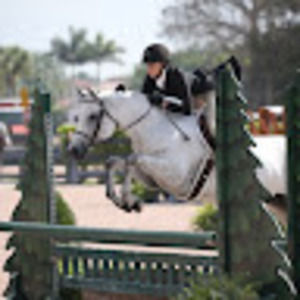 Meet your Posher, Ansley